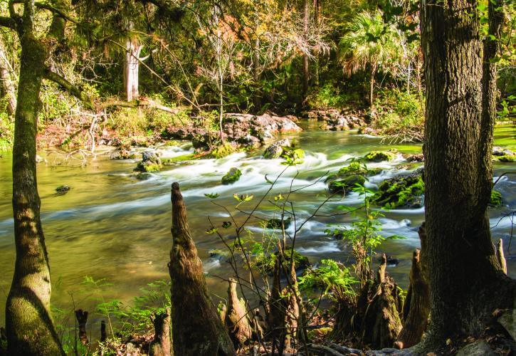 Hillsborough State Park